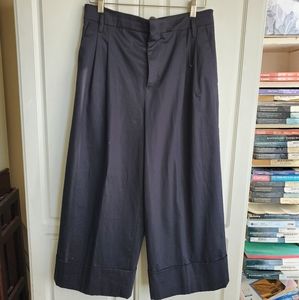 Pleated Front, Cropped,  Wide European Pants  nwot